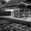 足利学校　藤棚の前