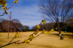 城址公園