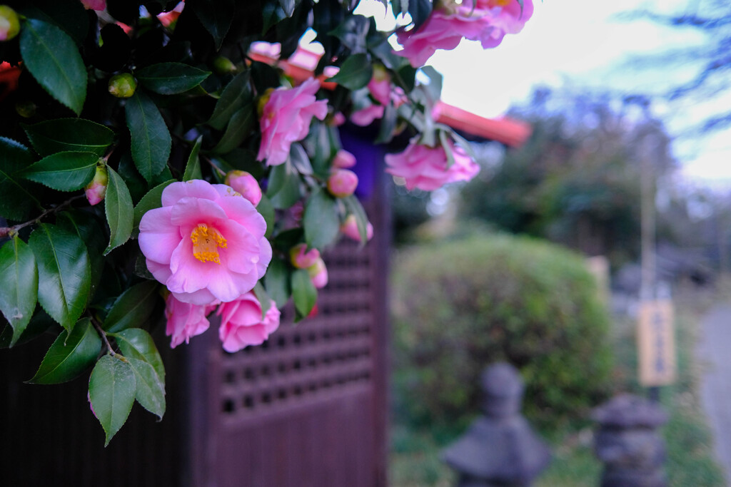 彩ずく神の館