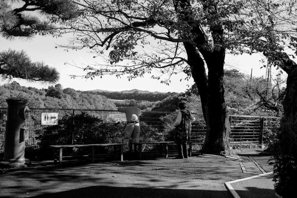 公園散歩