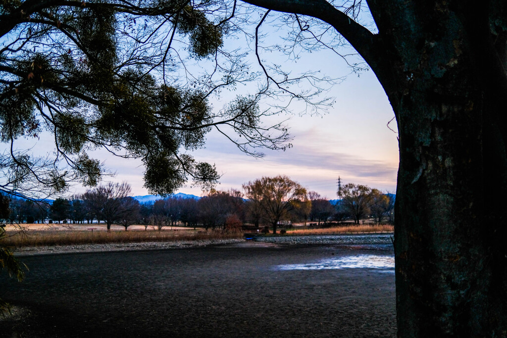 干潟になった五料沼
