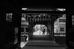 寺町散歩（鑁阿寺）