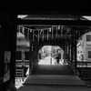 寺町散歩（鑁阿寺）