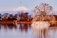 波志江沼と浅間山、