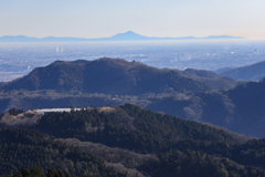 桜山公園、