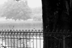 雨の日散歩