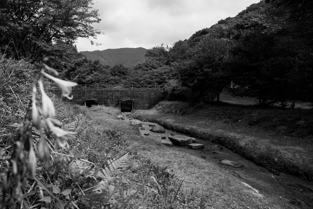 山のせせらぎ
