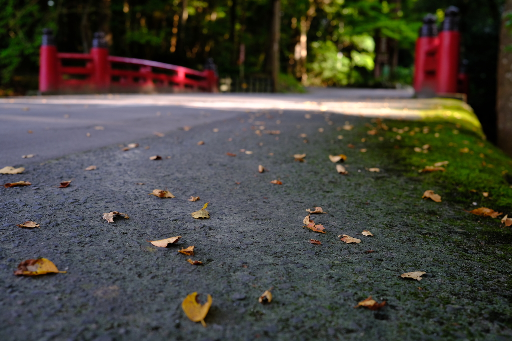 弥彦神社