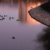 散歩道　