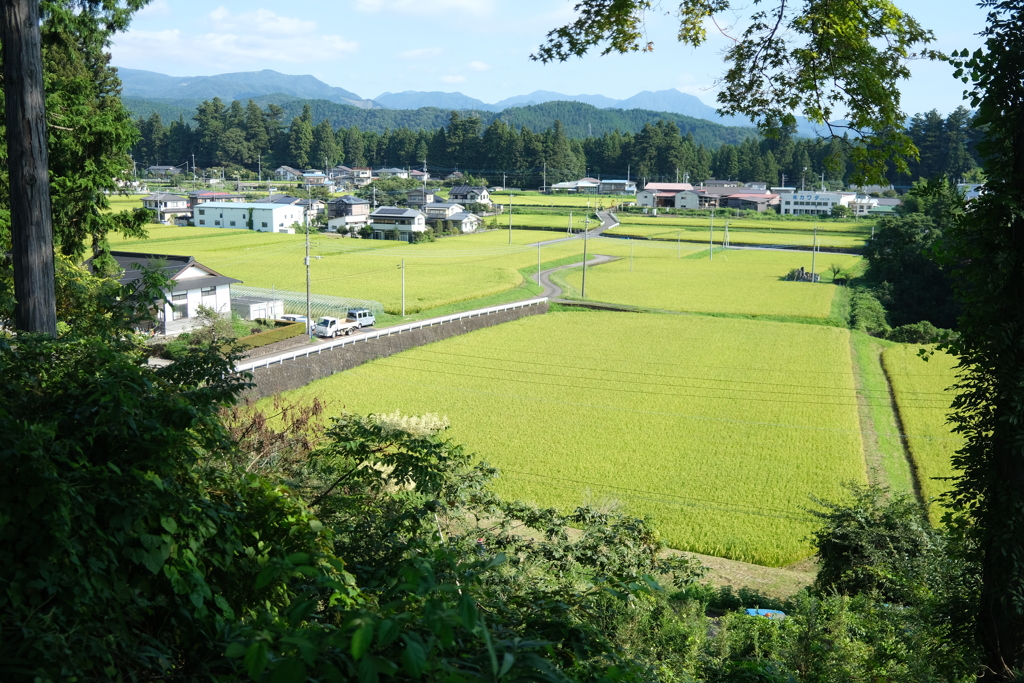 栃木路　