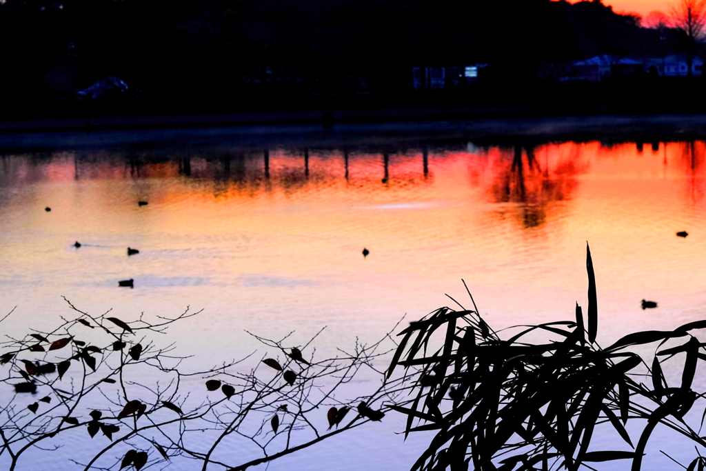 朝焼けの湖畔