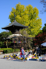 鑁阿寺