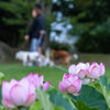 朝の彩