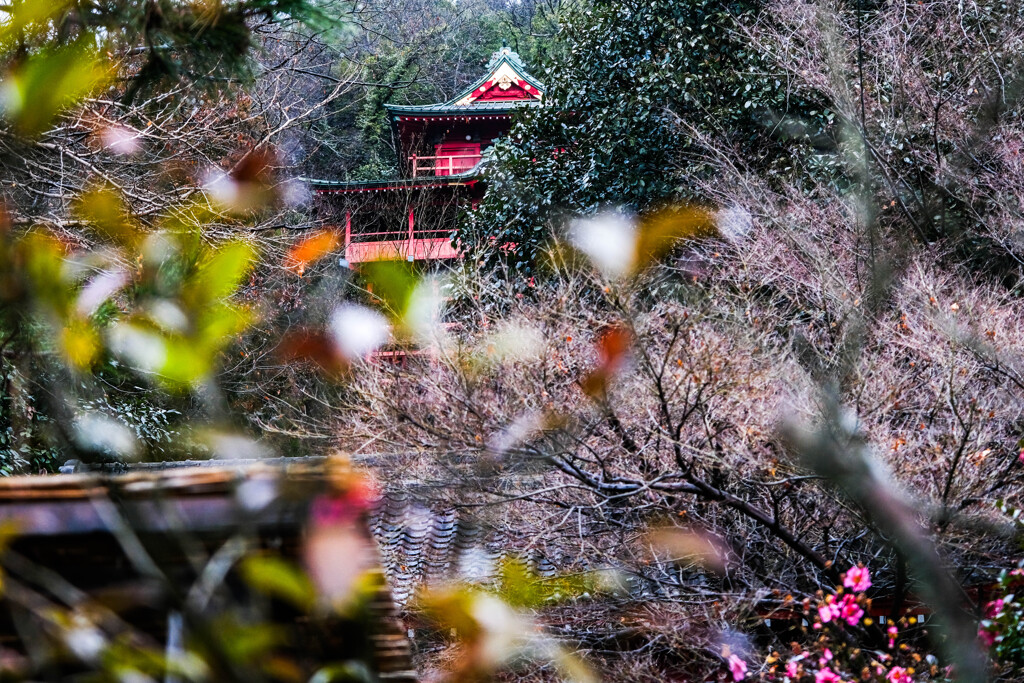 雨の磯山弁財天