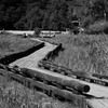 湯ノ湖散歩道
