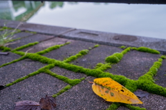 湖畔の散歩道