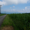 軽井沢追分