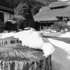 南郷の古民家