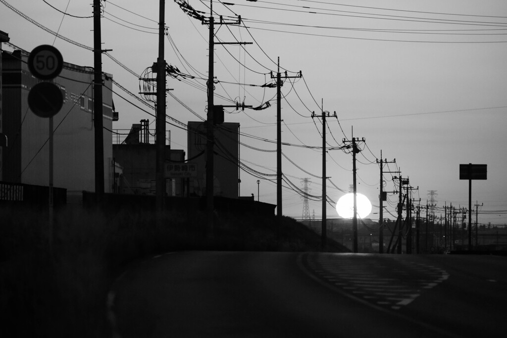 散歩道　