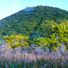 榛名富士秋の朝