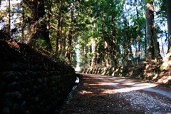 日光杉並木（今市市）