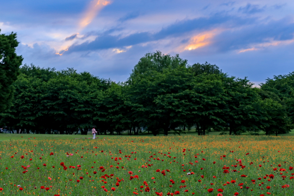 大室古墳公園、