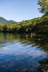 日光湯の湖畔
