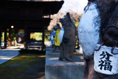 茂林寺（狸寺） (2)