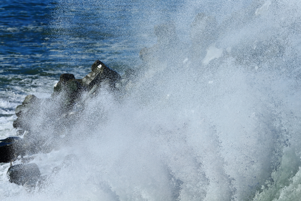 波と遊ぶ（朝の洗礼）