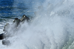 波と遊ぶ（朝の洗礼）