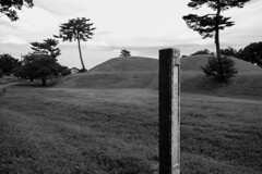 古墳公園（二子山）