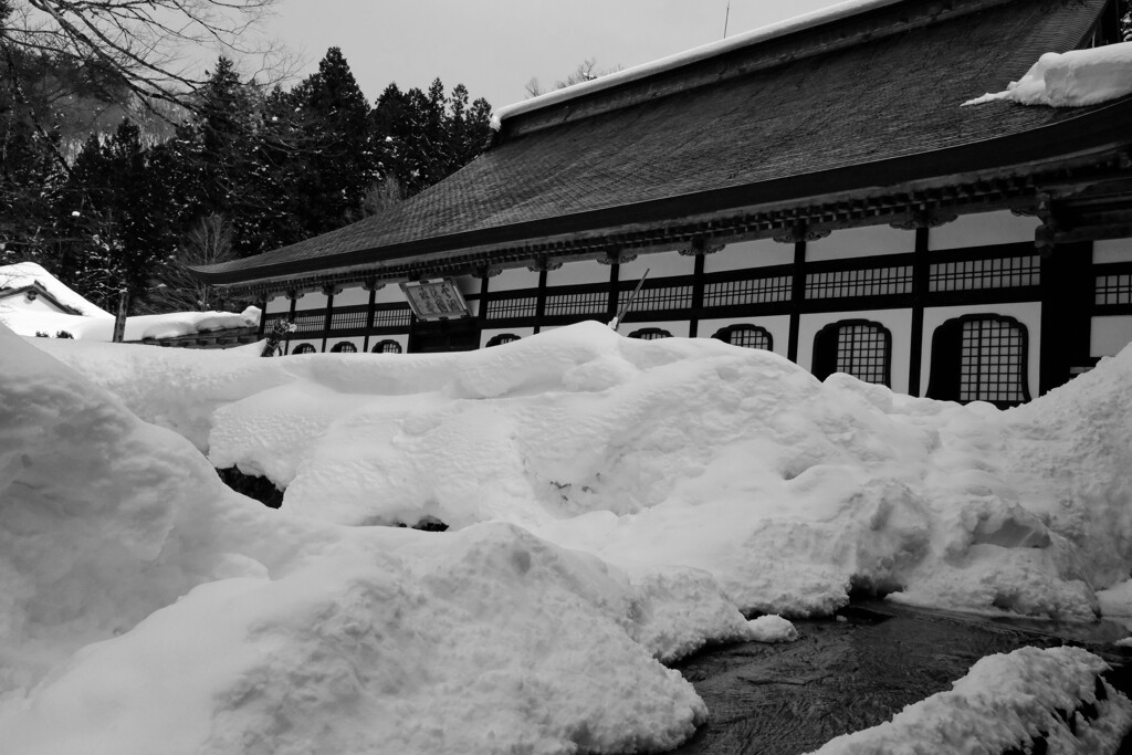 雪国の旅