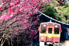 みどり市を訪ねて、