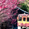 みどり市を訪ねて、