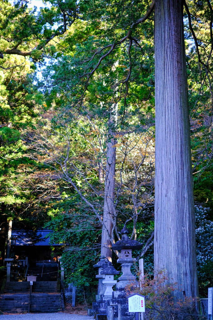 赤城神社　