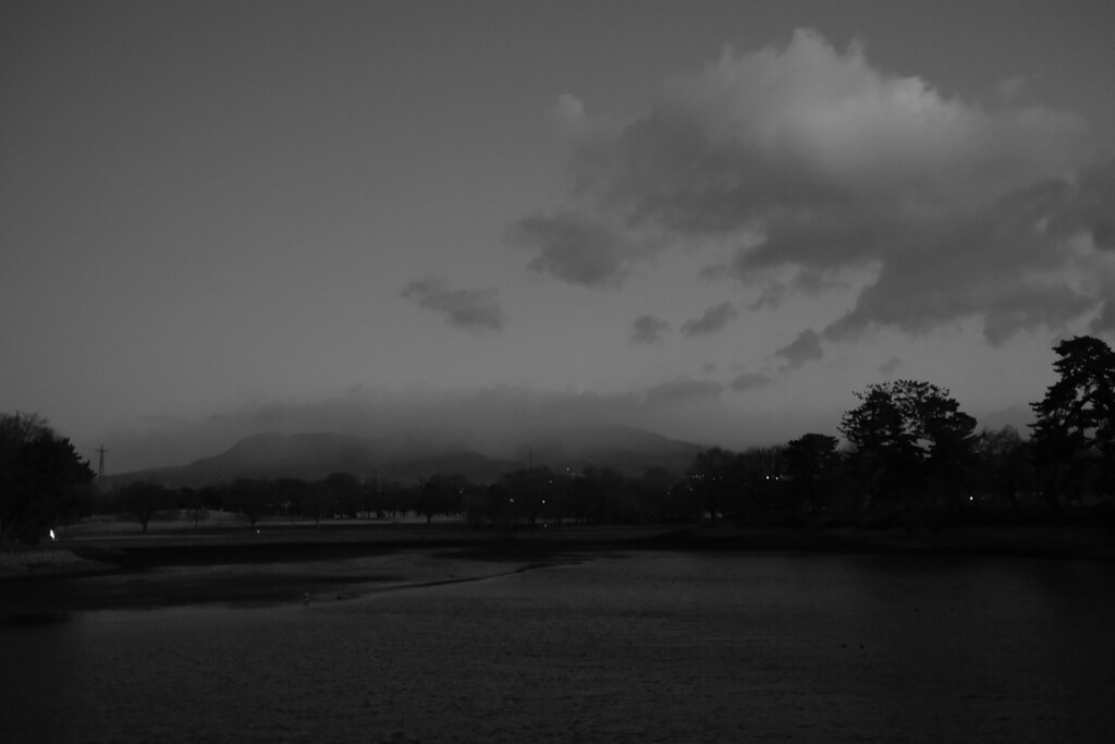 寒い朝（古墳公園）