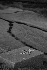 夢のある散歩道