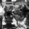鑁阿寺の池