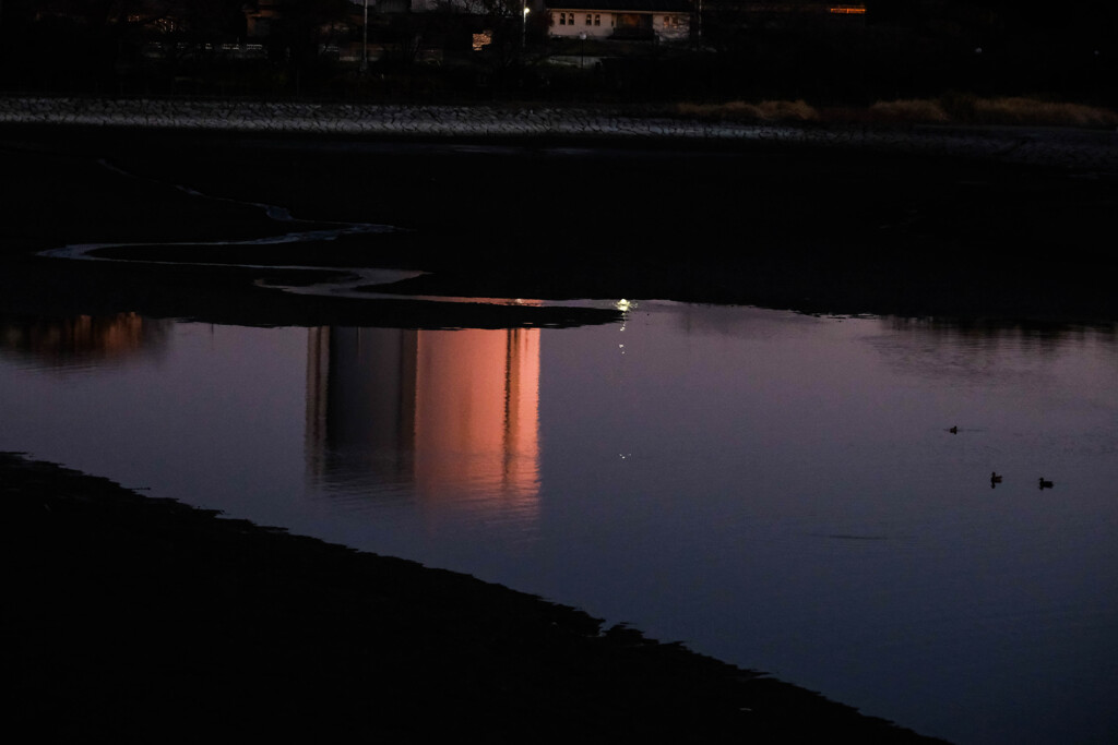 散歩道
