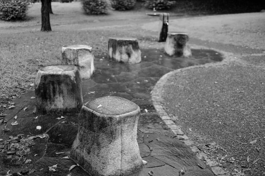 雨の散歩道