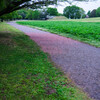 雨の散歩道