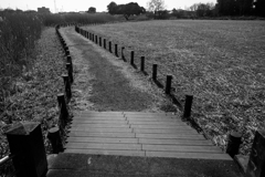 湿原散歩（茂林寺）