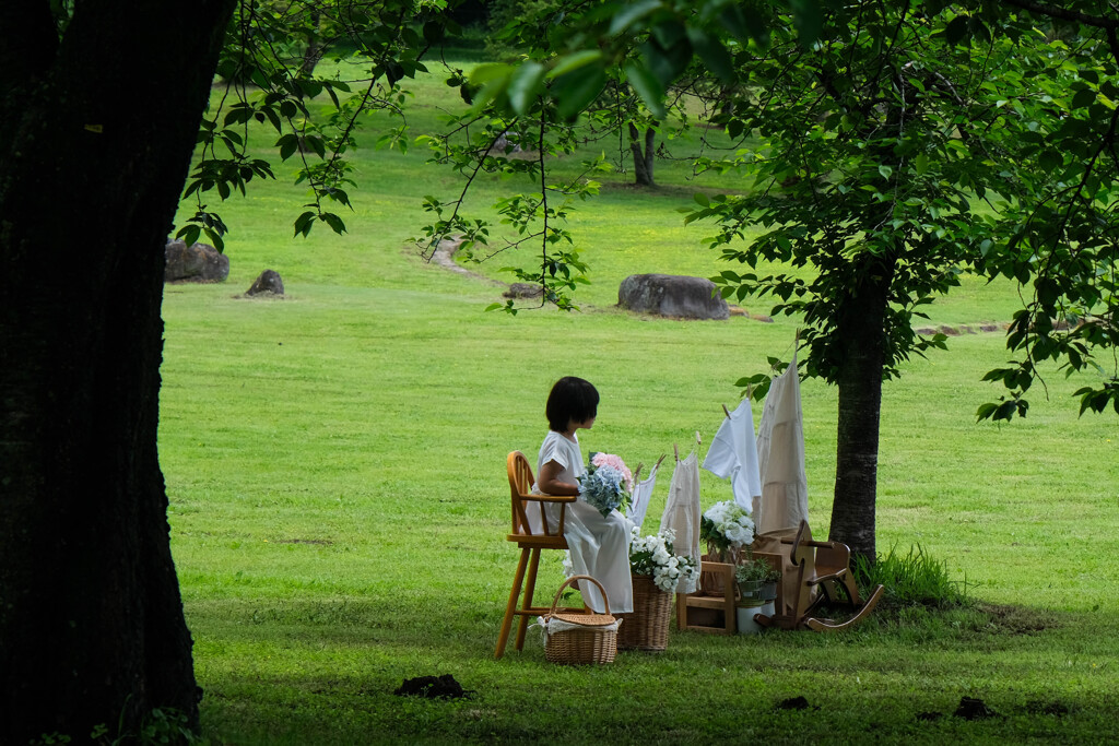 日曜日の公園