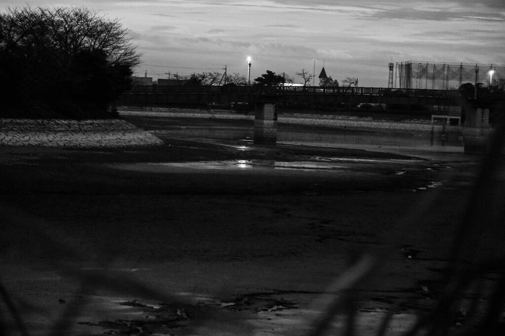 散歩道