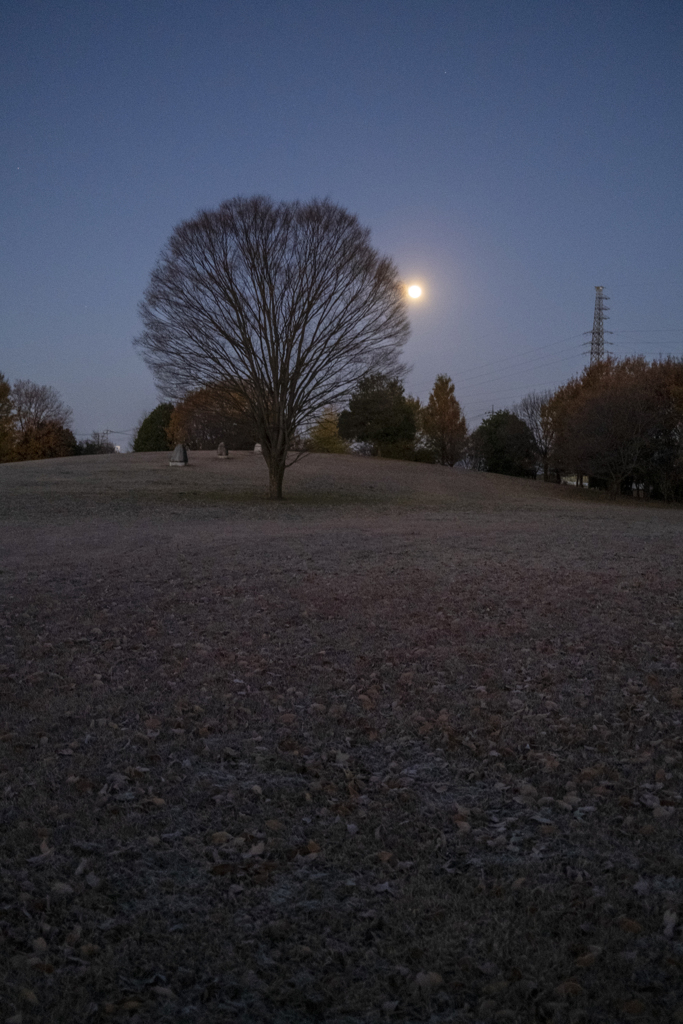 古墳公園の朝、