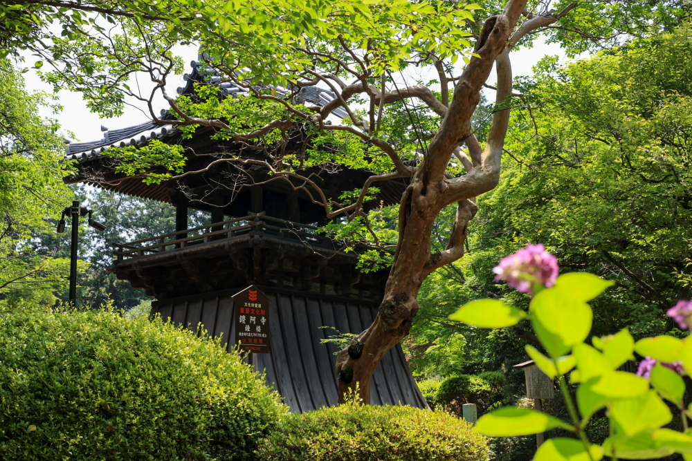 鑁阿寺(ばんなじ)