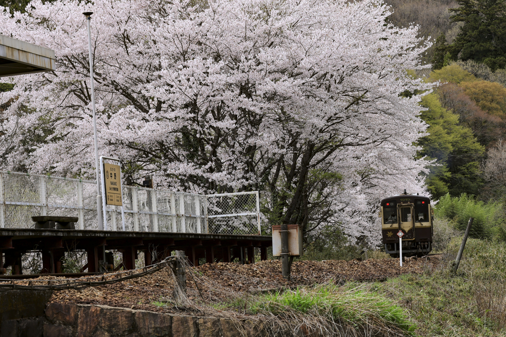 中野駅 (1 - 1)