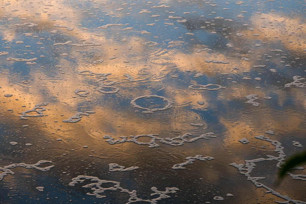 湖面アート