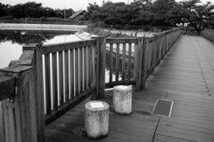 湖畔の散歩道　