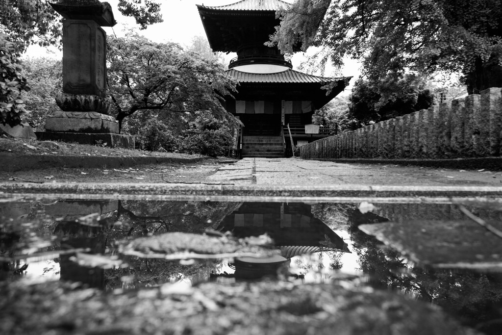 雨の鑁阿寺　